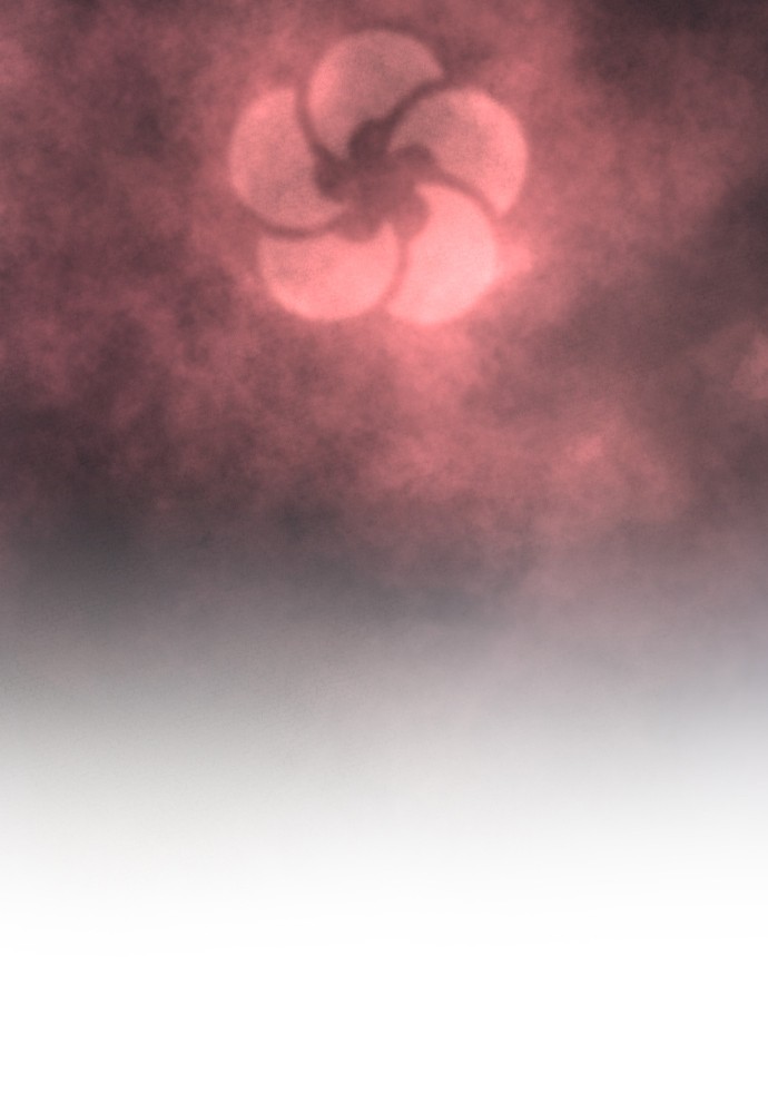 Return of the Blossoming Chap 2 - Next Chap 3