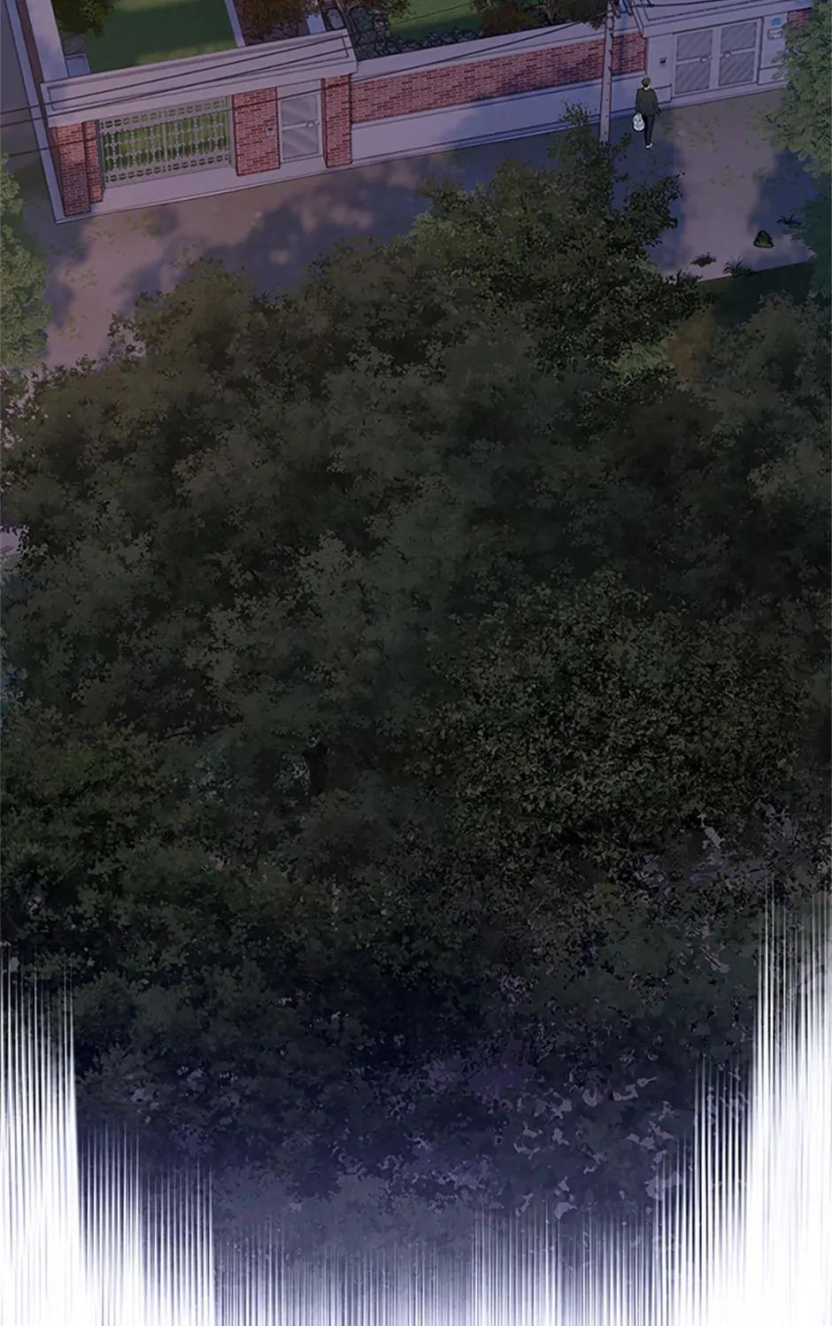 God of Blackfield Chap 260 - Next Chap 261