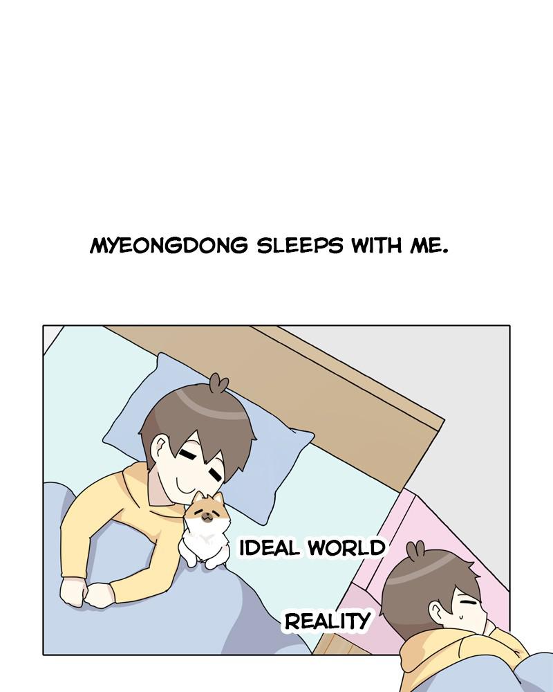 The Dog Diaries Chap 37 - Next Chap 38