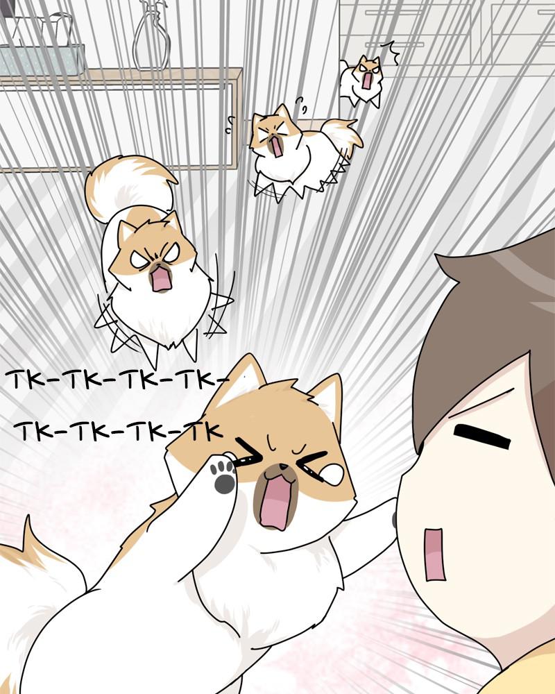 The Dog Diaries Chap 37 - Next Chap 38