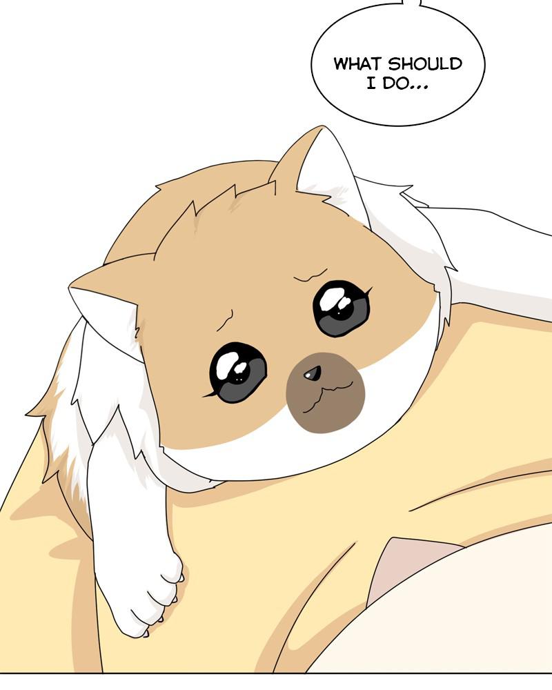The Dog Diaries Chap 37 - Next Chap 38