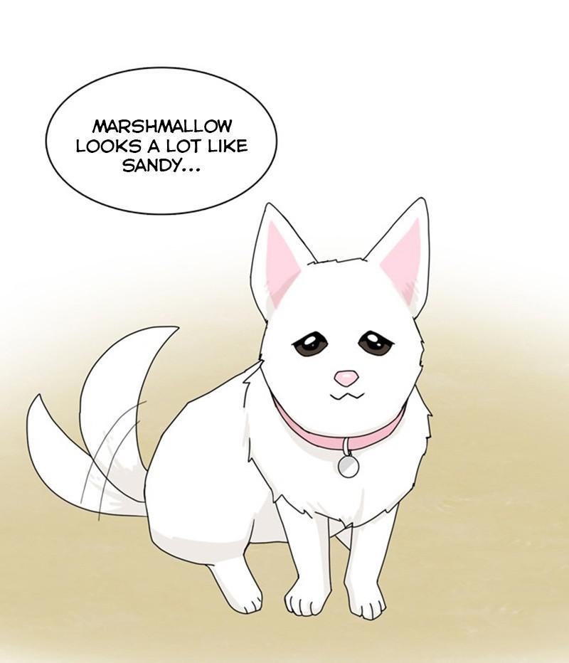 The Dog Diaries Chap 35 - Next Chap 36