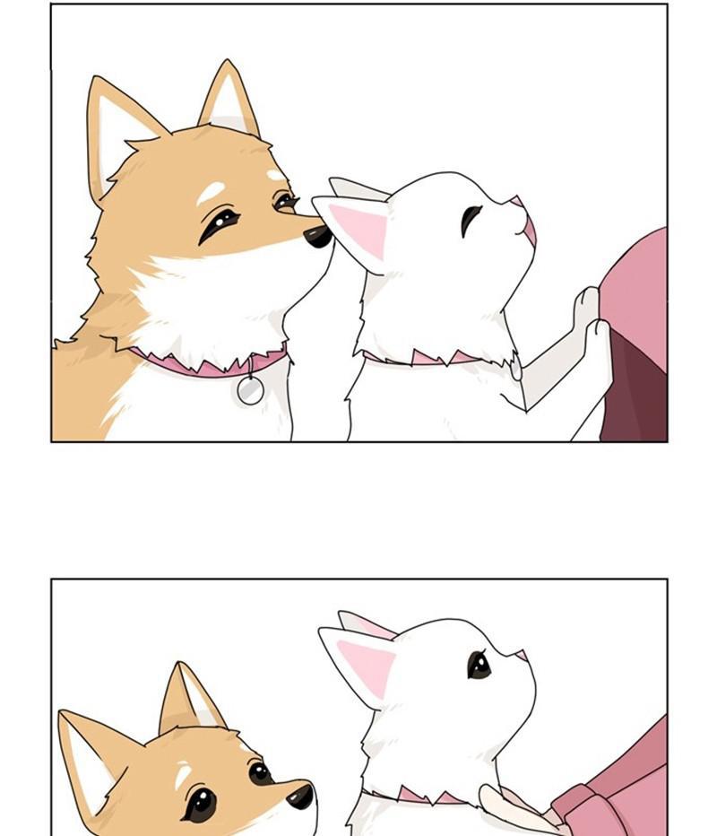 The Dog Diaries Chap 35 - Next Chap 36