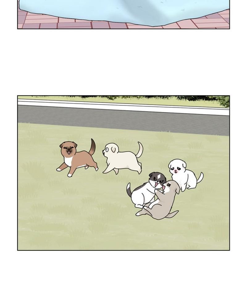 The Dog Diaries Chap 35 - Next Chap 36