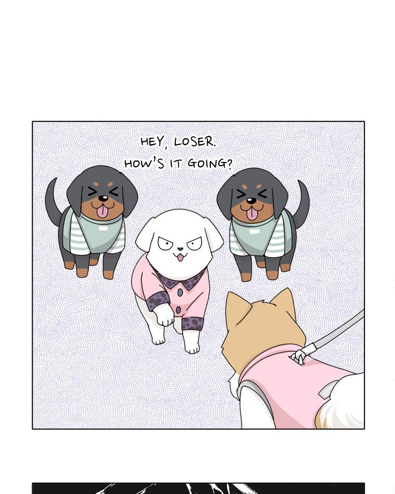 The Dog Diaries Chap 36 - Next Chap 37