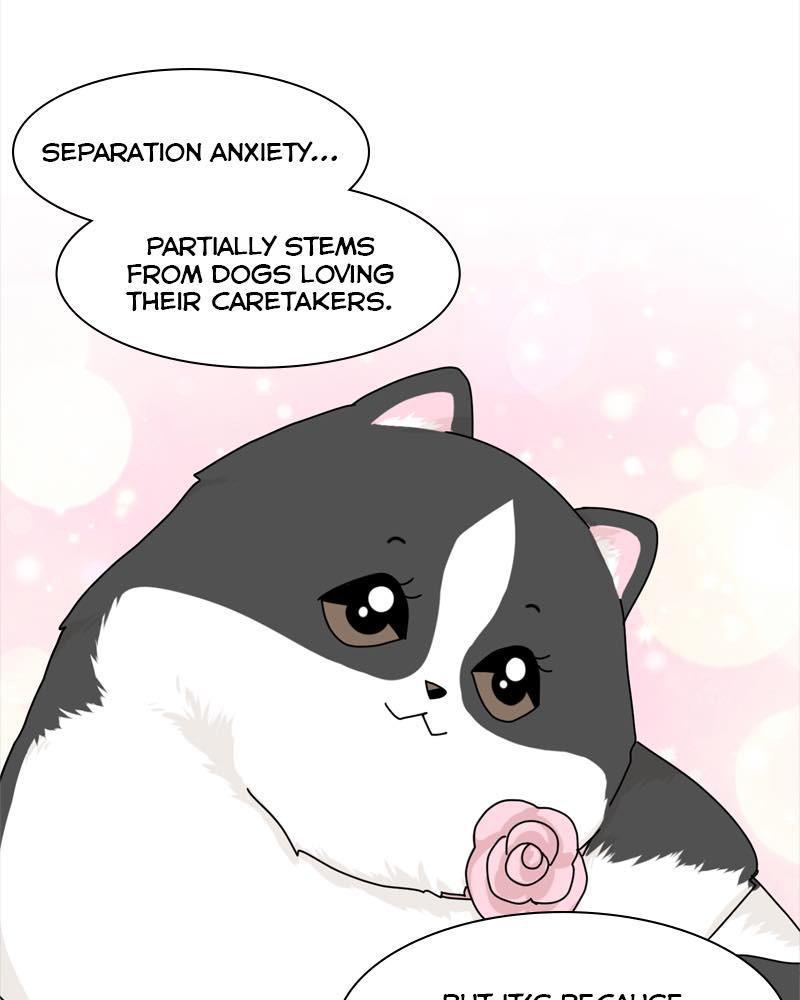 The Dog Diaries Chap 38 - Next Chap 39