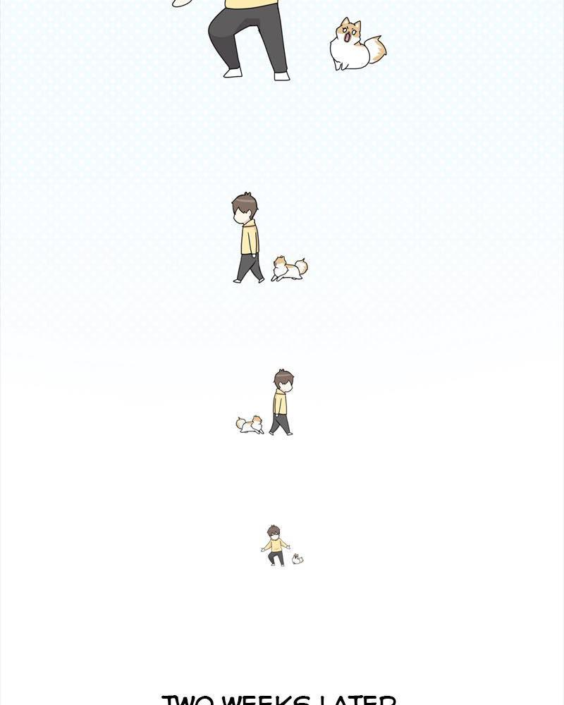 The Dog Diaries Chap 38 - Next Chap 39