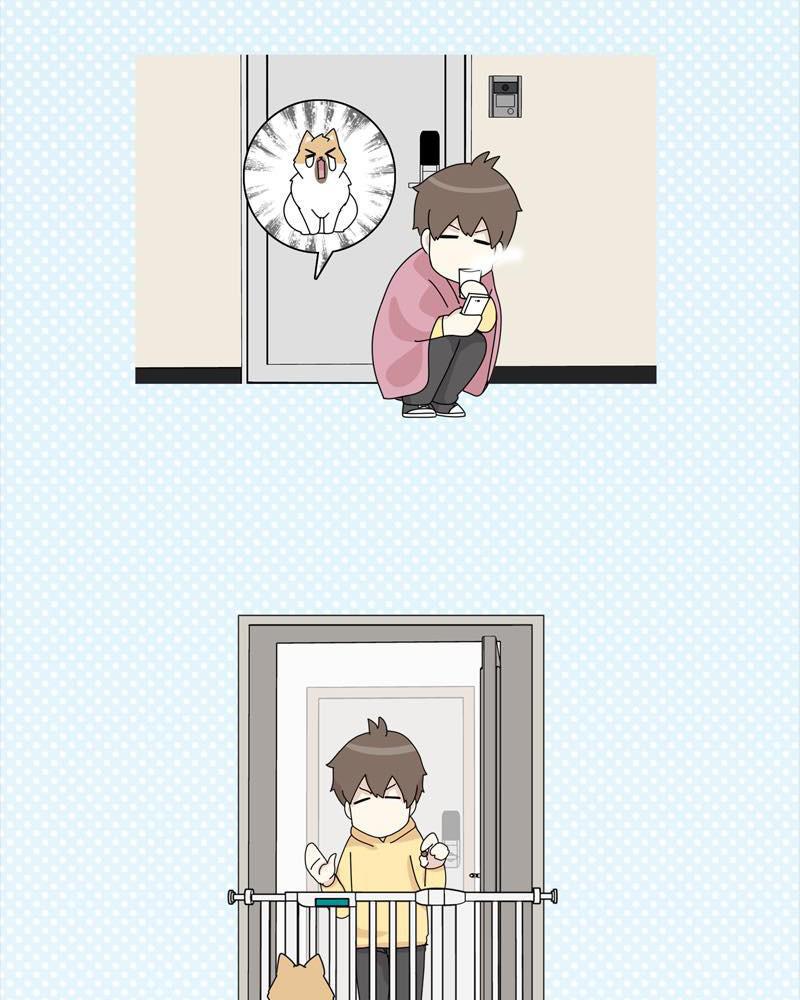 The Dog Diaries Chap 38 - Next Chap 39