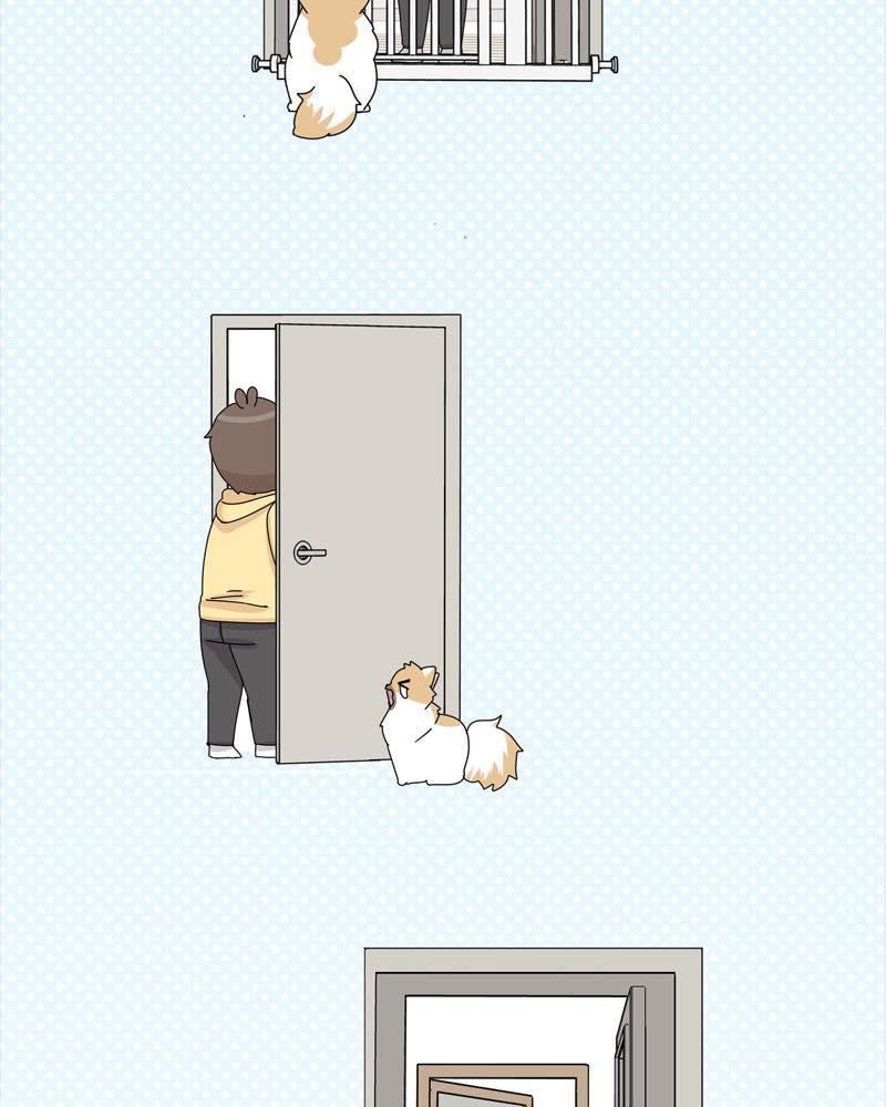 The Dog Diaries Chap 38 - Next Chap 39