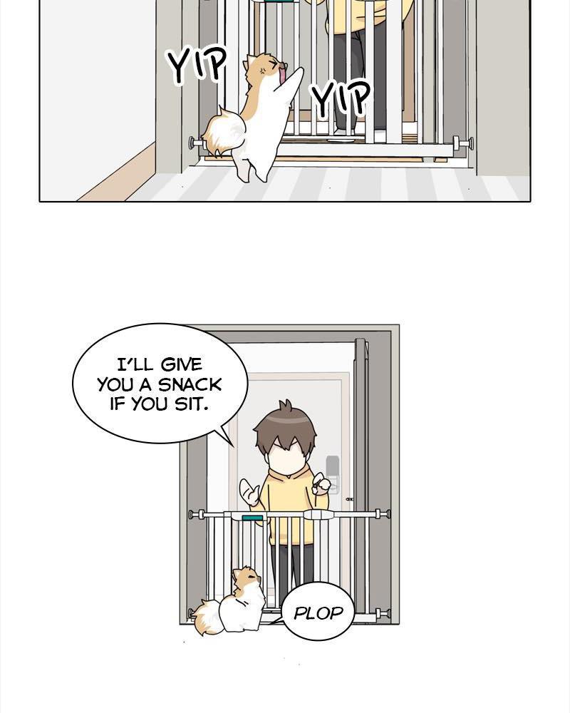 The Dog Diaries Chap 38 - Next Chap 39