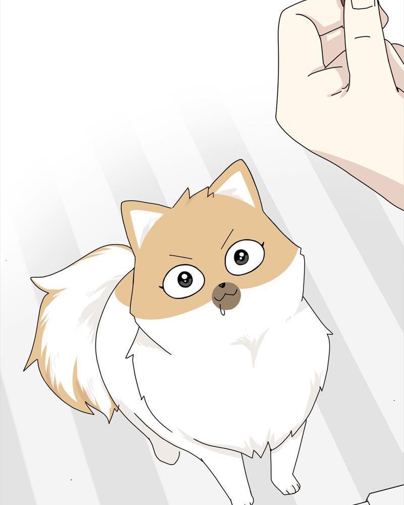 The Dog Diaries Chap 38 - Next Chap 39