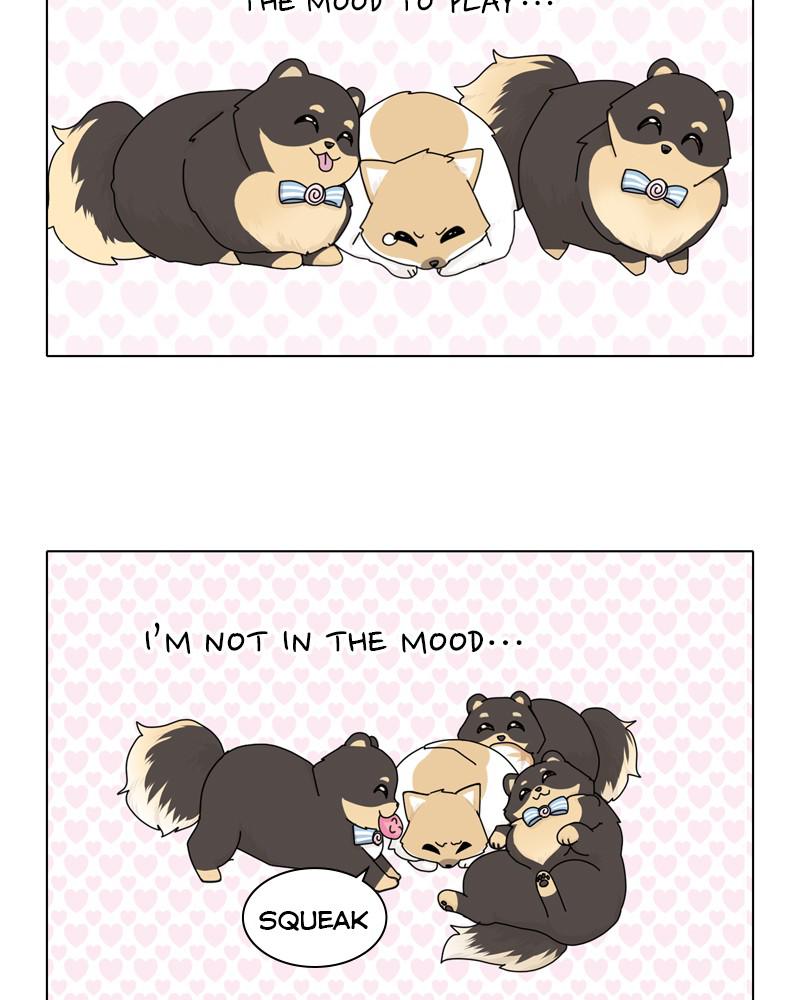 The Dog Diaries Chap 39 - Next Chap 40
