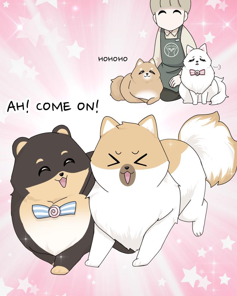 The Dog Diaries Chap 39 - Next Chap 40