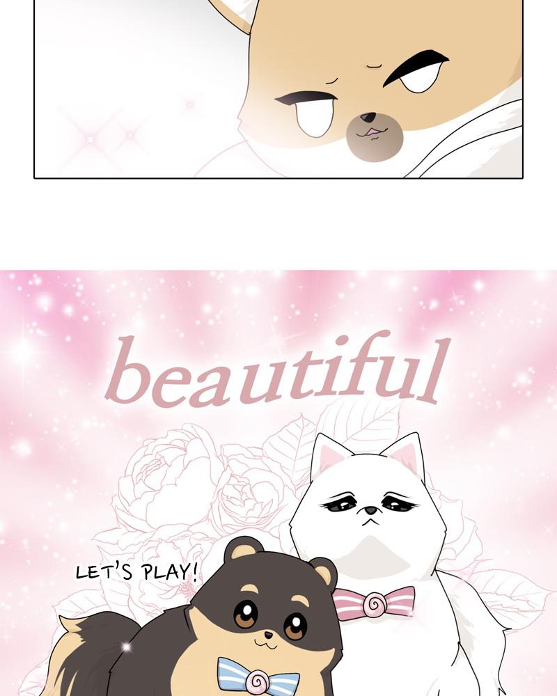 The Dog Diaries Chap 39 - Next Chap 40