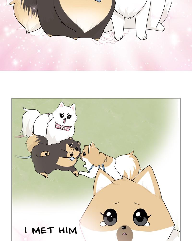 The Dog Diaries Chap 39 - Next Chap 40