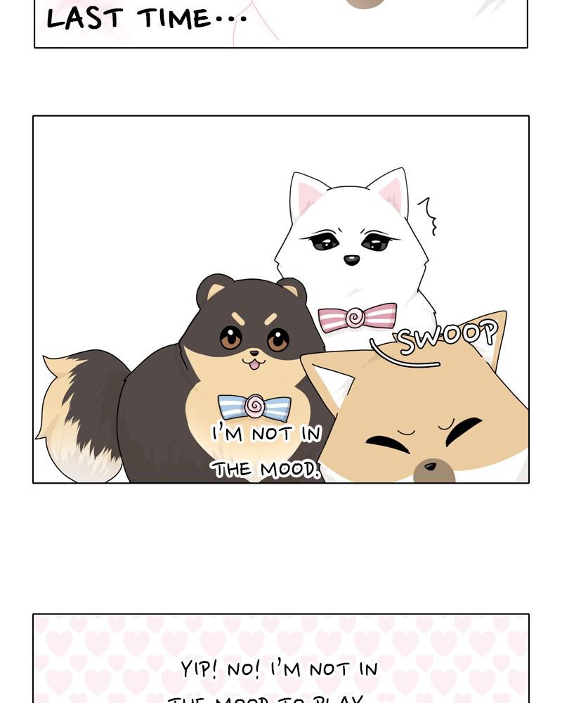 The Dog Diaries Chap 39 - Next Chap 40