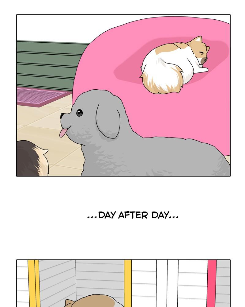The Dog Diaries Chap 39 - Next Chap 40