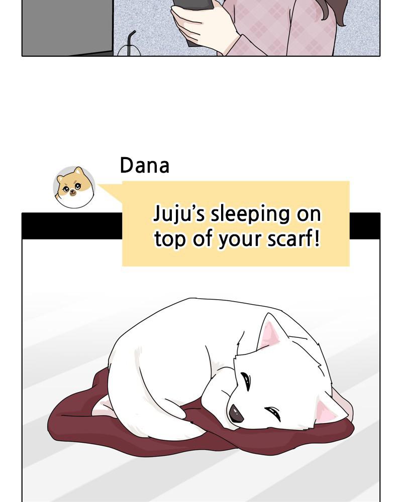 The Dog Diaries Chap 47 - Next Chap 48