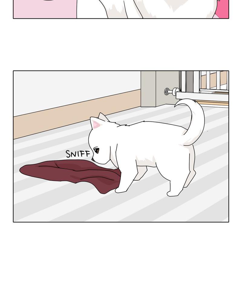 The Dog Diaries Chap 47 - Next Chap 48