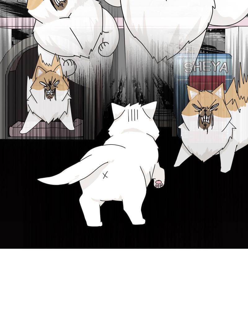The Dog Diaries Chap 47 - Next Chap 48