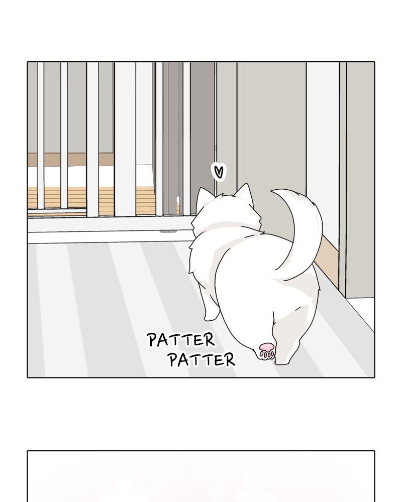 The Dog Diaries Chap 47 - Next Chap 48