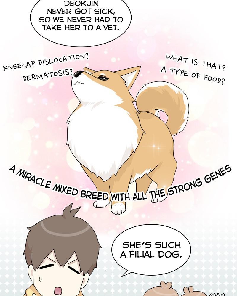 The Dog Diaries Chap 44 - Next Chap 45