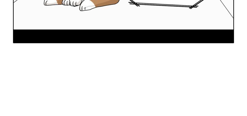 The Dog Diaries Chap 44 - Next Chap 45