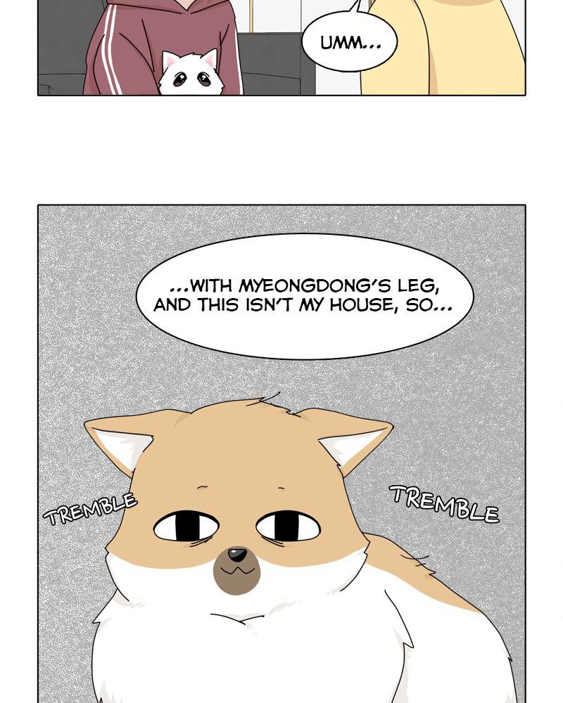 The Dog Diaries Chap 44 - Next Chap 45