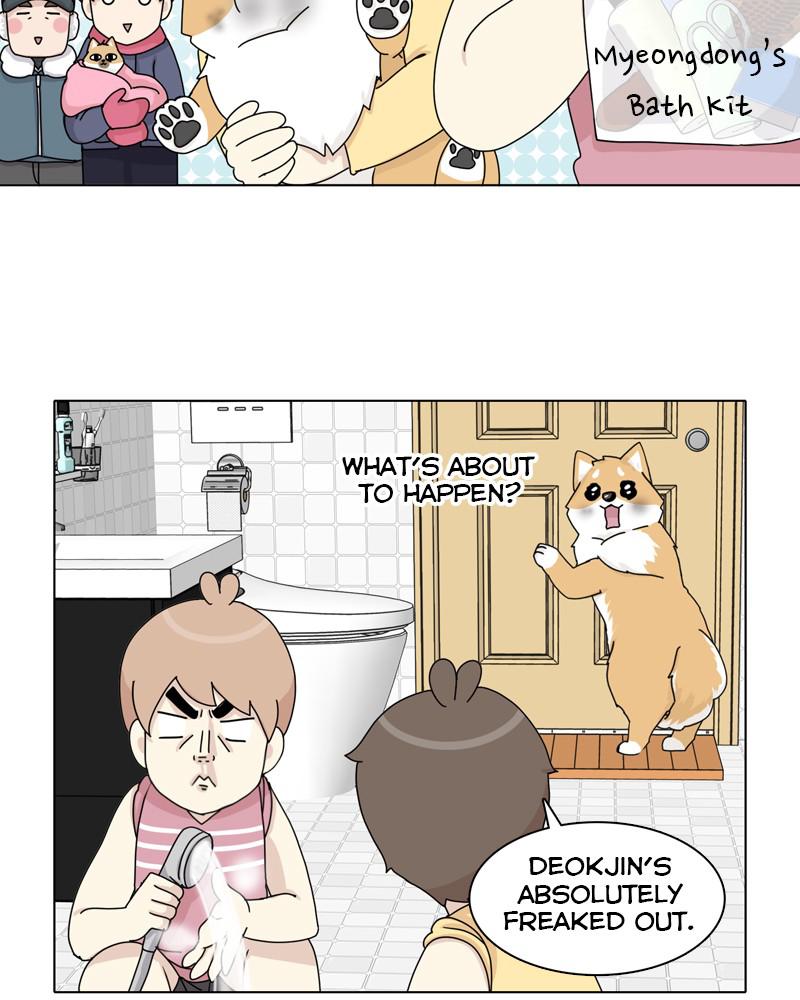 The Dog Diaries Chap 45 - Next Chap 46