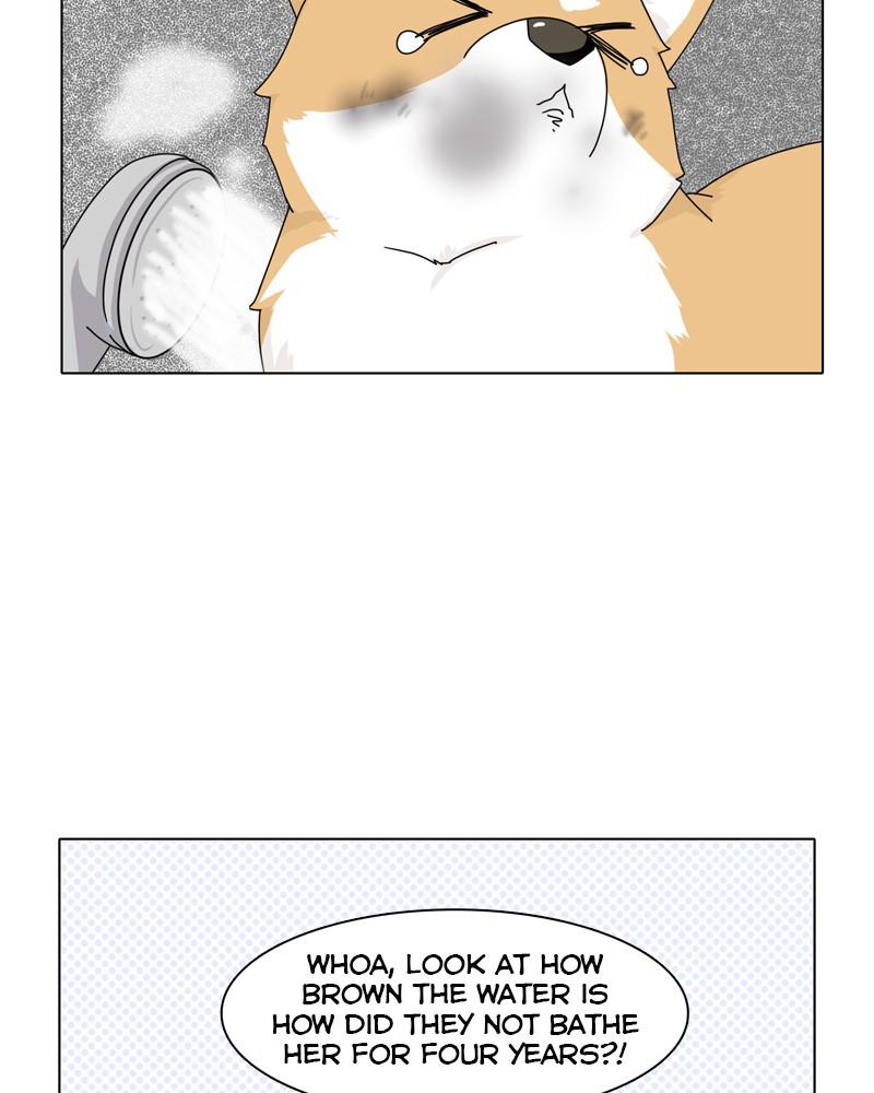 The Dog Diaries Chap 45 - Next Chap 46