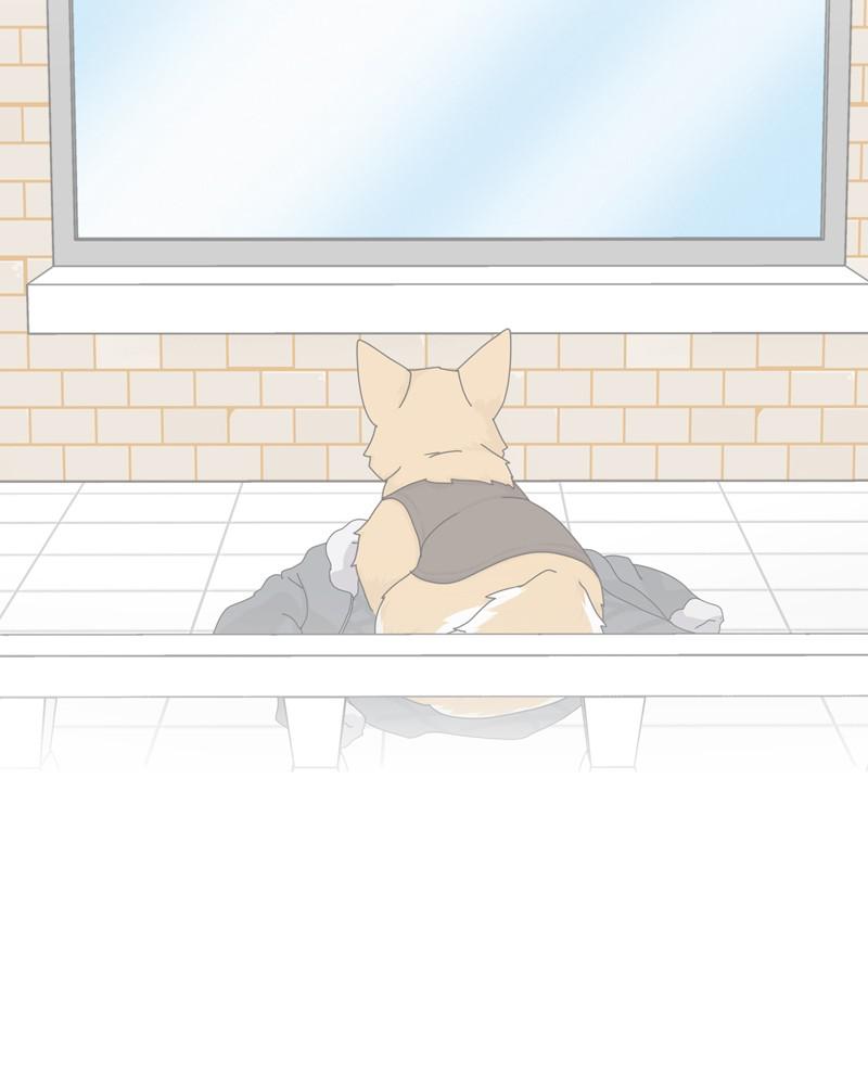 The Dog Diaries Chap 45 - Next Chap 46