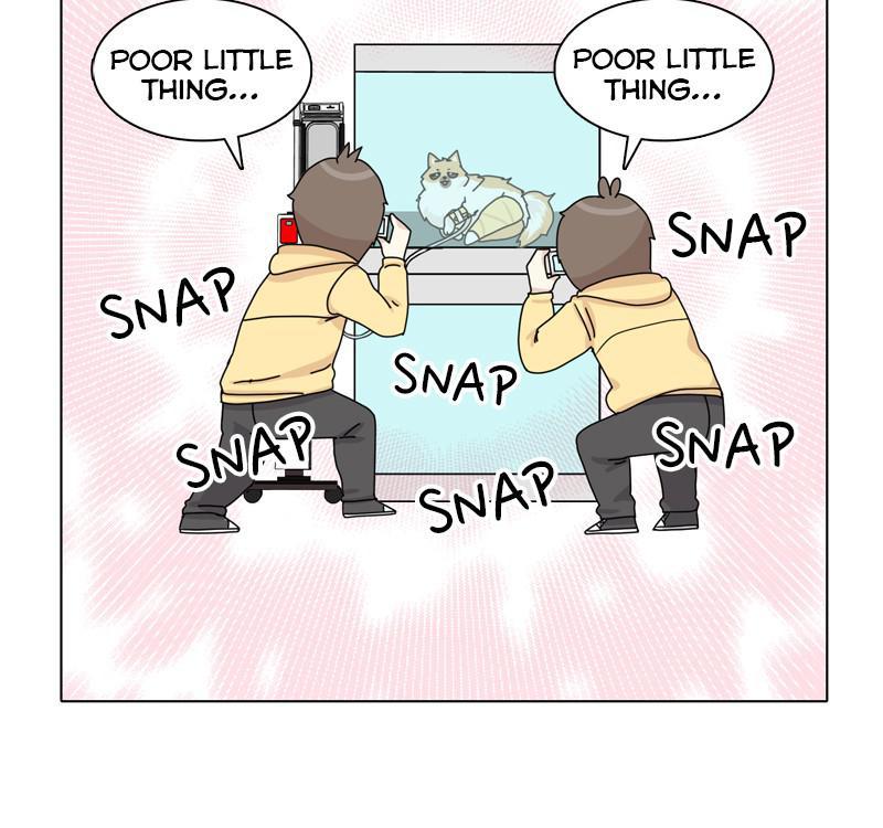 The Dog Diaries Chap 46 - Next Chap 47