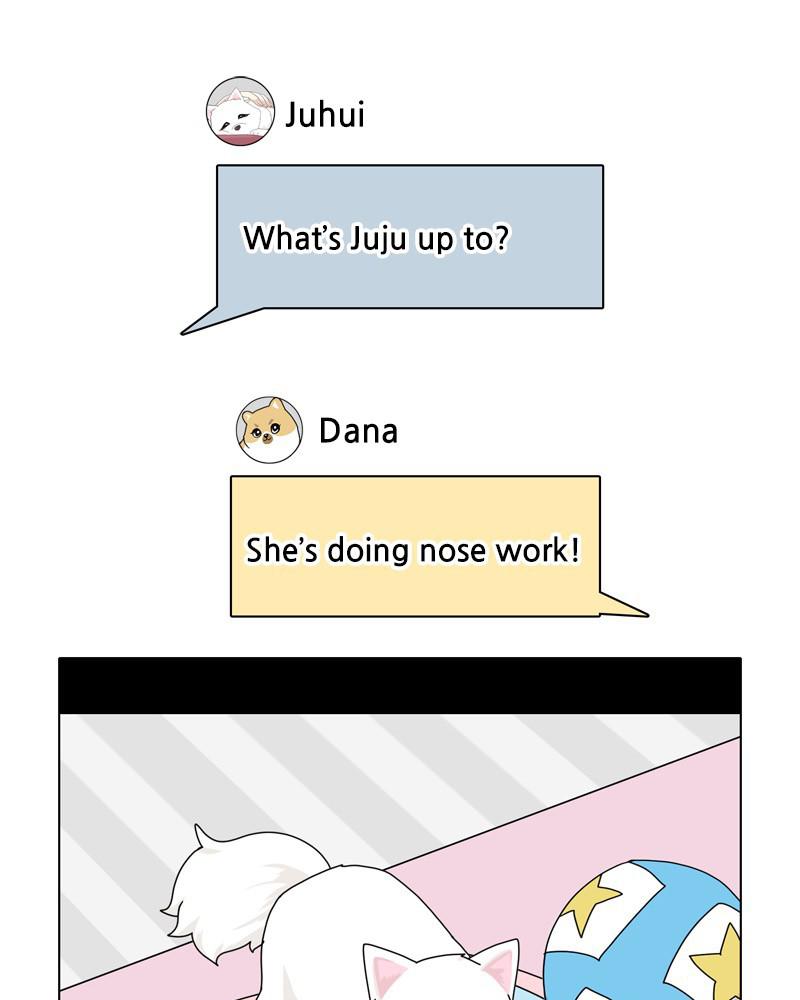 The Dog Diaries Chap 48 - Next Chap 49