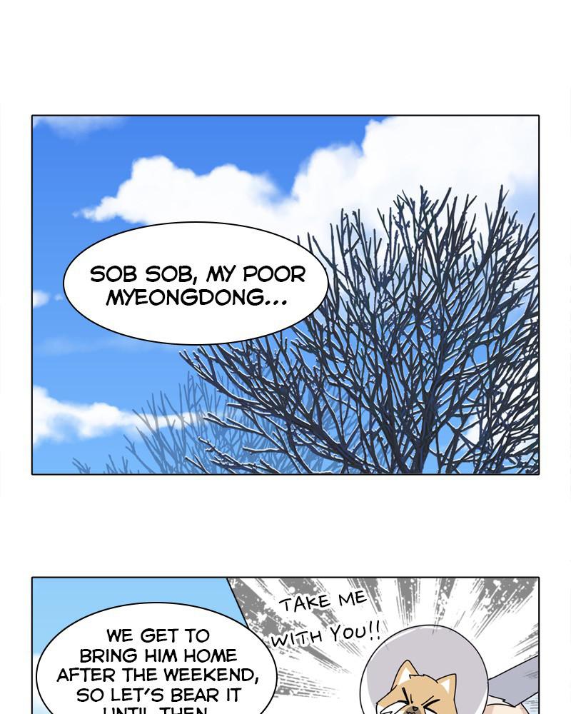 The Dog Diaries Chap 48 - Next Chap 49