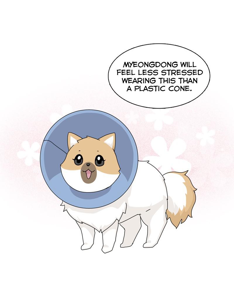 The Dog Diaries Chap 49 - Next Chap 50