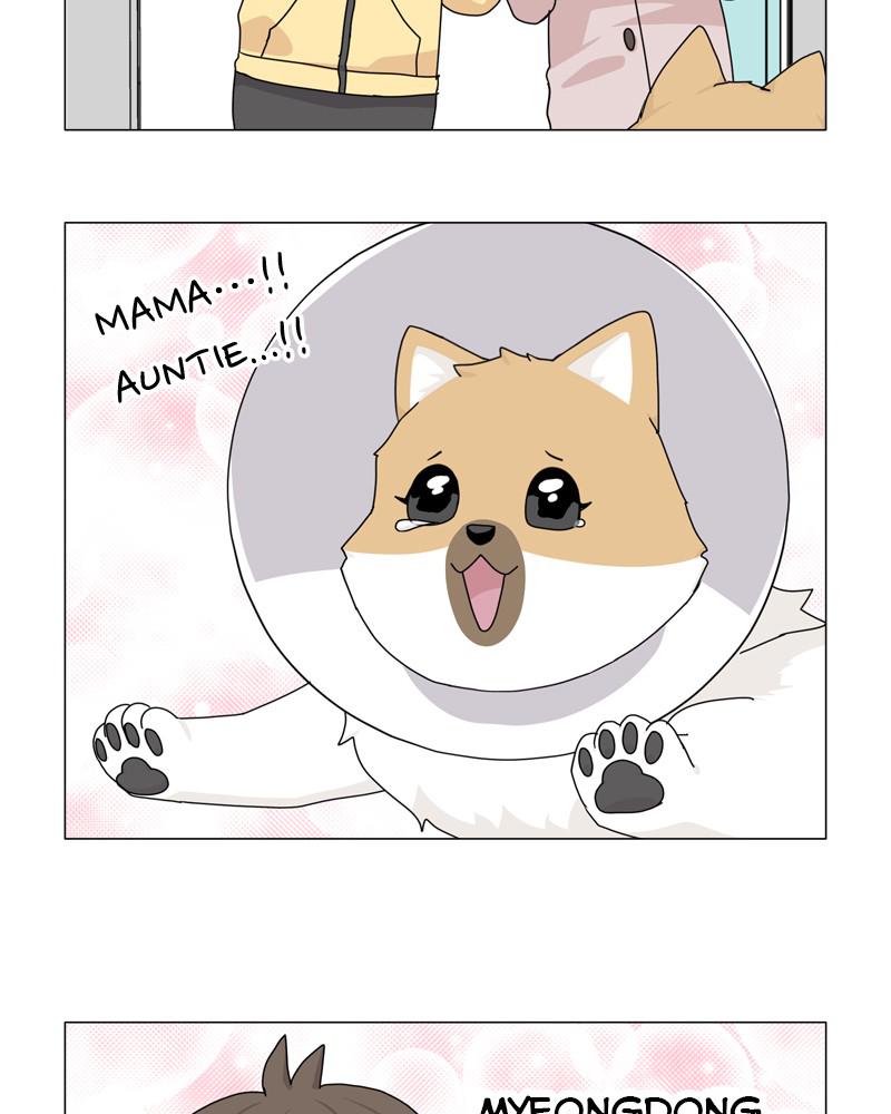 The Dog Diaries Chap 49 - Next Chap 50
