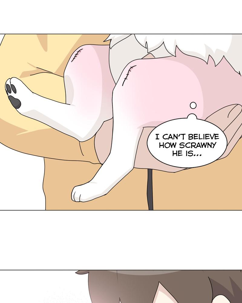 The Dog Diaries Chap 49 - Next Chap 50