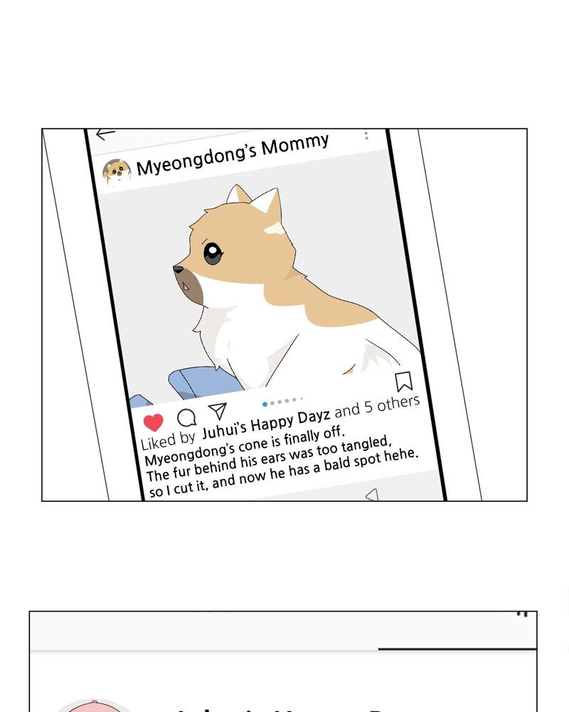 The Dog Diaries Chap 49 - Next Chap 50