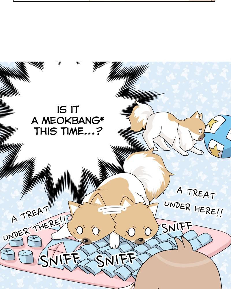 The Dog Diaries Chap 40 - Next Chap 41