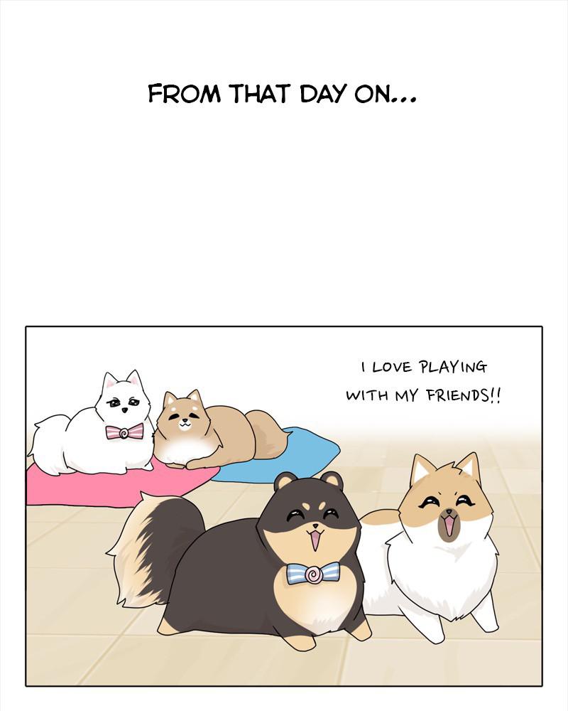 The Dog Diaries Chap 40 - Next Chap 41