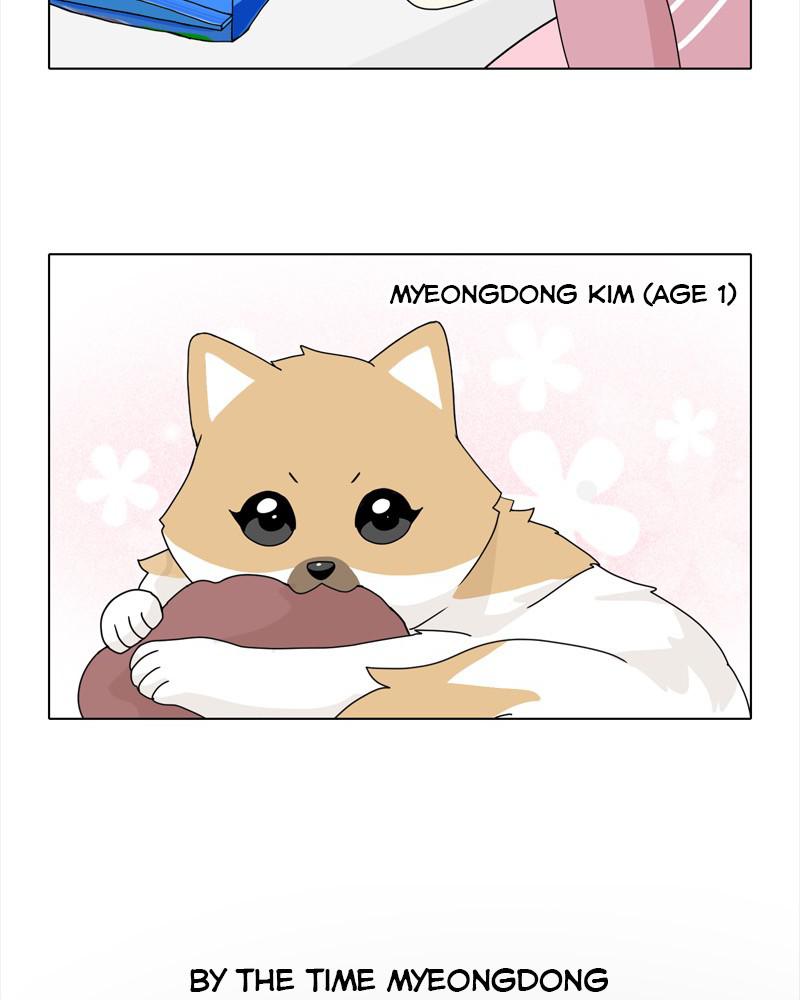 The Dog Diaries Chap 40 - Next Chap 41