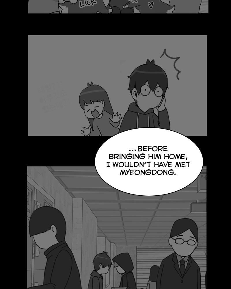 The Dog Diaries Chap 41 - Next Chap 42