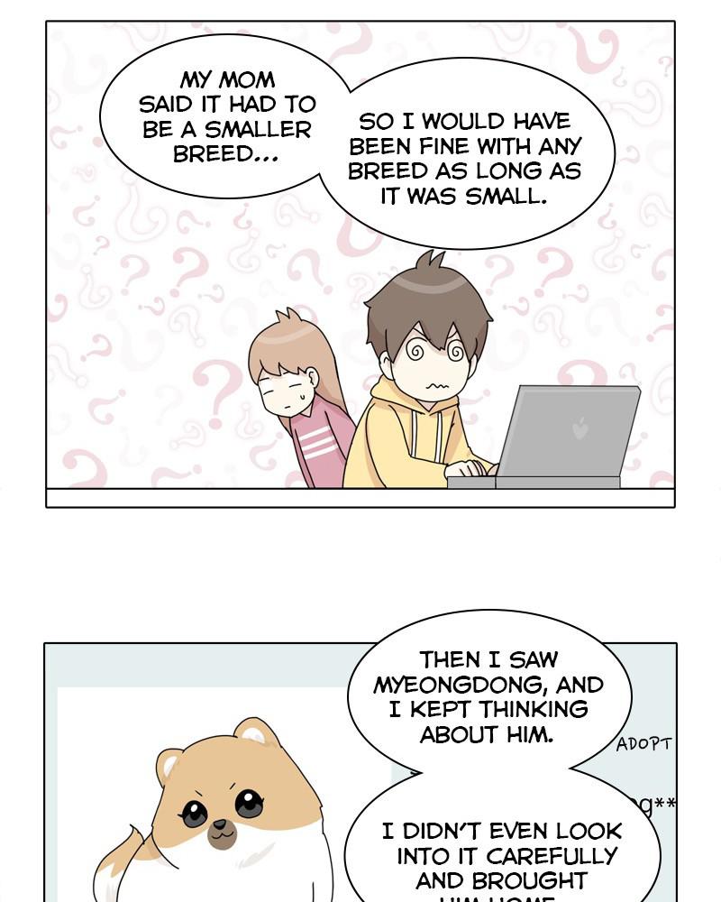The Dog Diaries Chap 41 - Next Chap 42