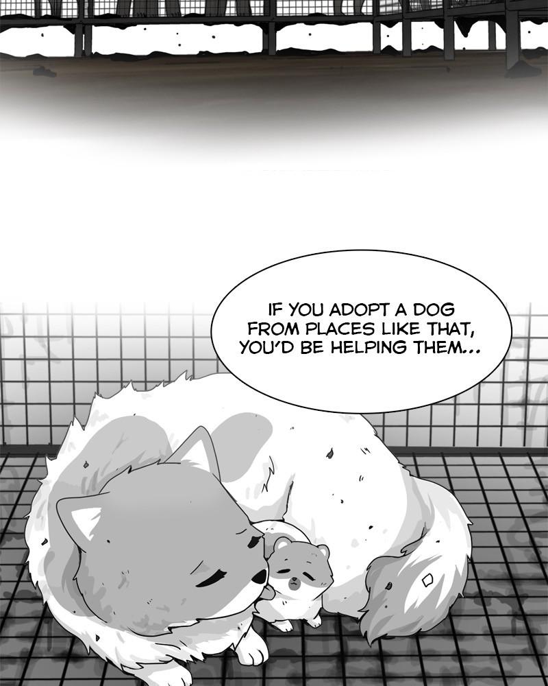 The Dog Diaries Chap 41 - Next Chap 42