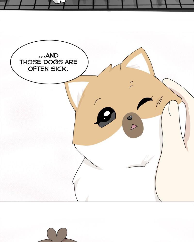 The Dog Diaries Chap 41 - Next Chap 42