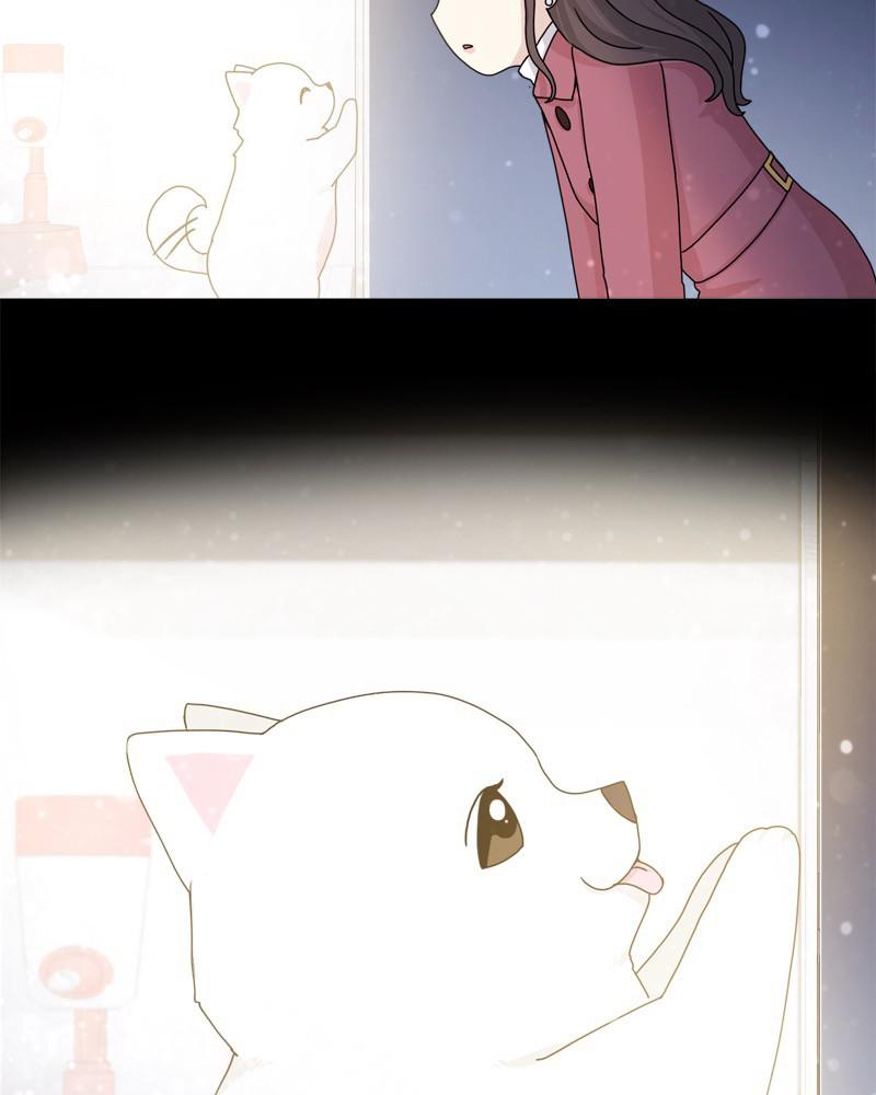 The Dog Diaries Chap 41 - Next Chap 42