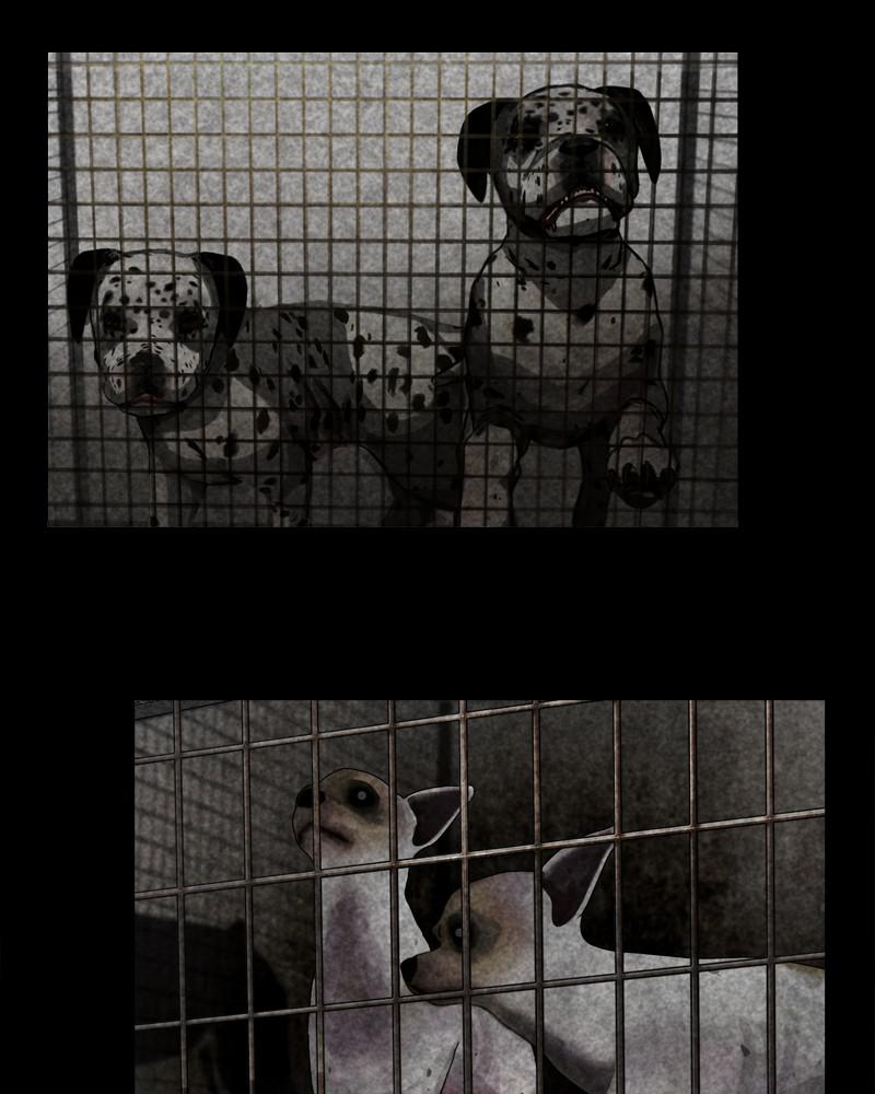 The Dog Diaries Chap 42 - Next Chap 43