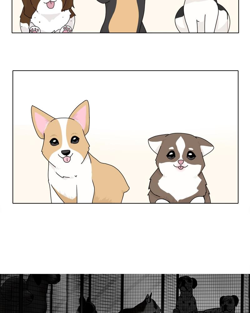 The Dog Diaries Chap 42 - Next Chap 43