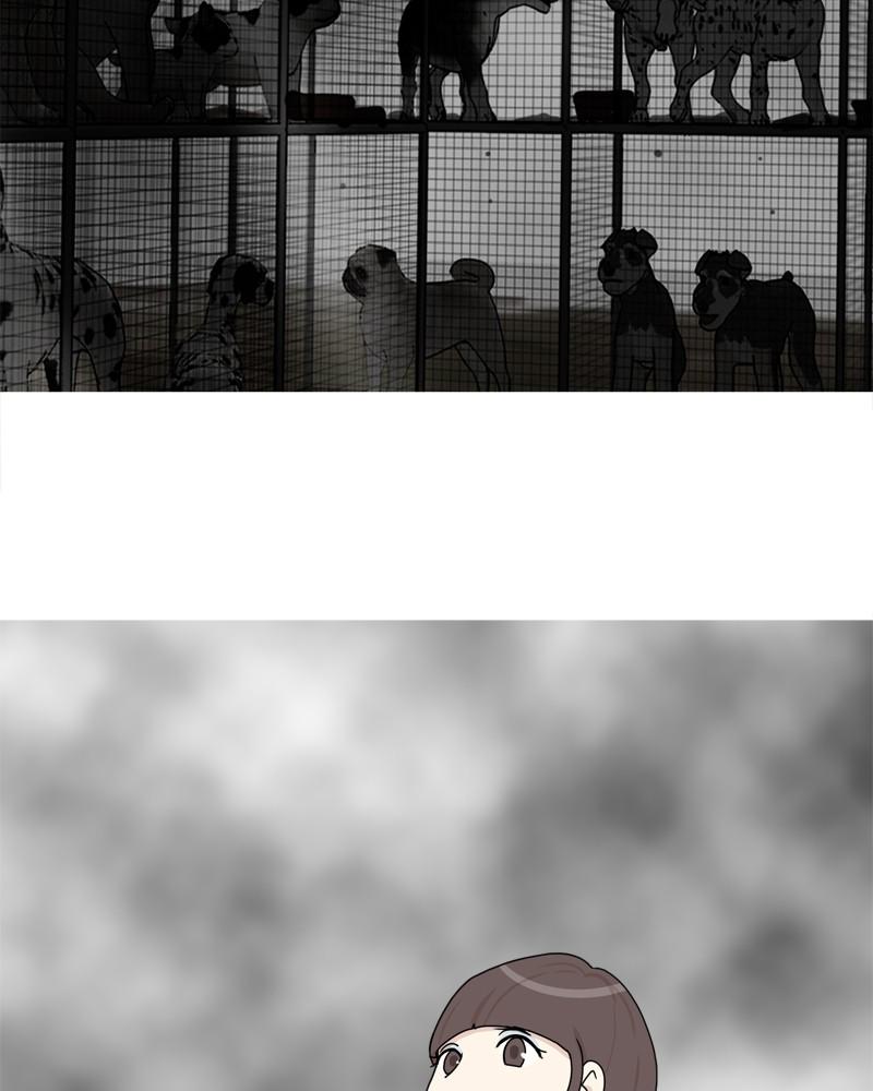 The Dog Diaries Chap 42 - Next Chap 43