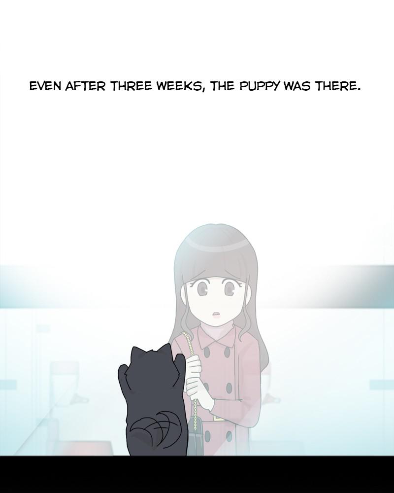 The Dog Diaries Chap 42 - Next Chap 43